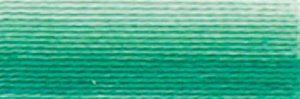 DMC Embroidery Floss - #125  Seafoam Green, Variegated