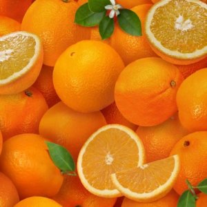 Elizabeth Studio - 261 Oranges