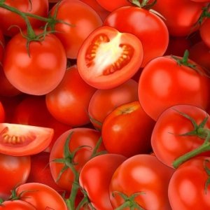Elizabeth Studio - 436 Tomatoes