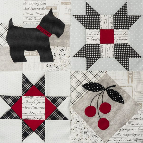 Quilter's Trek 2021 - Pop of Color - Grandma's Attic Quilting