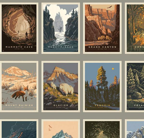 Riley Blake - National Parks - Grandma's Attic Quilting