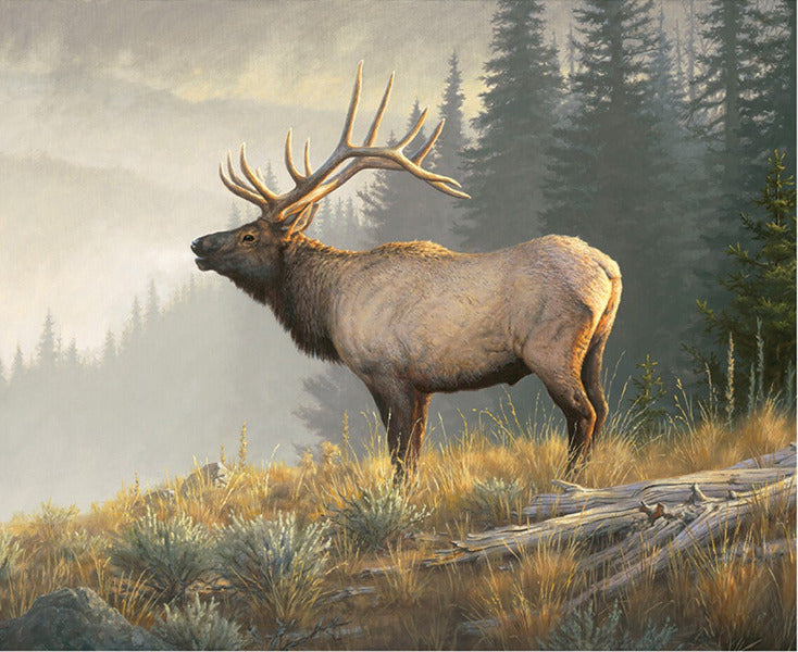 Riley Blake - PD17962 Monarch of the Mountain