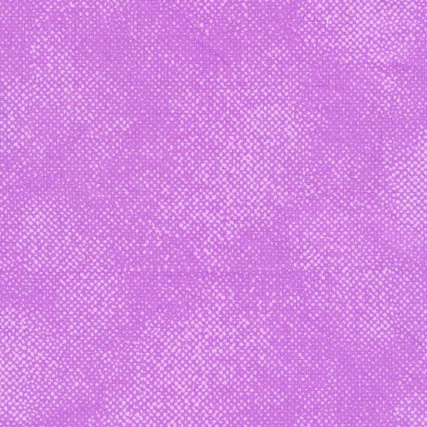Timeless Treasures - C1000 Lavender
