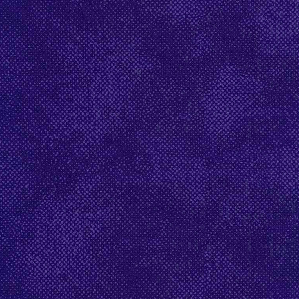 Timeless Treasures - C1000 Violet