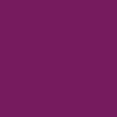Riley Blake - C120 Boysenberry