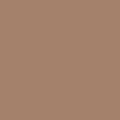 Riley Blake - C120 Brown Sugar