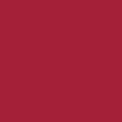 Riley Blake - C120 Barn Red