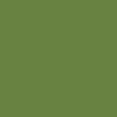 Riley Blake - C120 Basil
