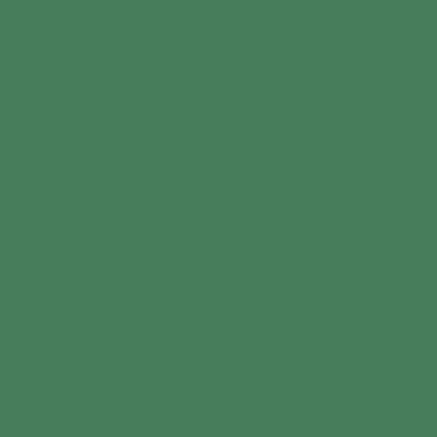 Riley Blake - C120 Cactus