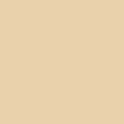Riley Blake - C120 Eggnog