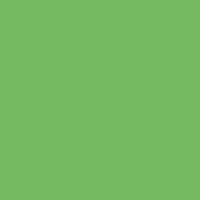 Riley Blake - C120 Green Smoothie