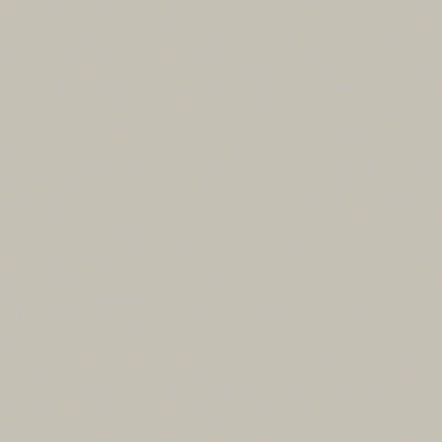 Riley Blake - C120 Light Gray