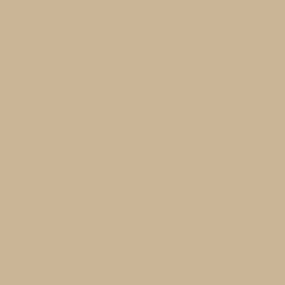 Riley Blake - C120 Palomino