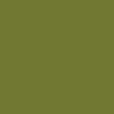 Riley Blake - C120 Parsley