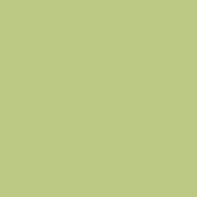 Riley Blake - C120 Pear