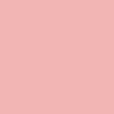 Riley Blake - C120 Pretty in Pink