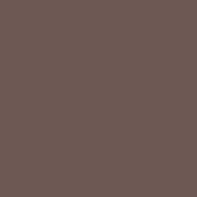 Riley Blake - C120 Raisin