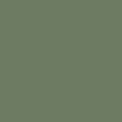 Riley Blake - C120 Rosemary