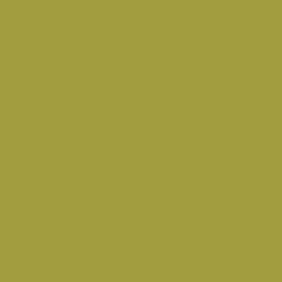 Riley Blake - C120 Split Pea