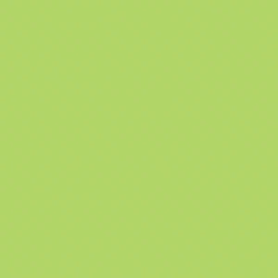Riley Blake - C120 Wasabi