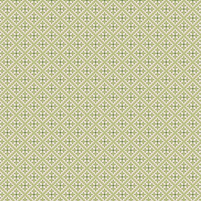 Riley Blake - C16487 Lettuce
