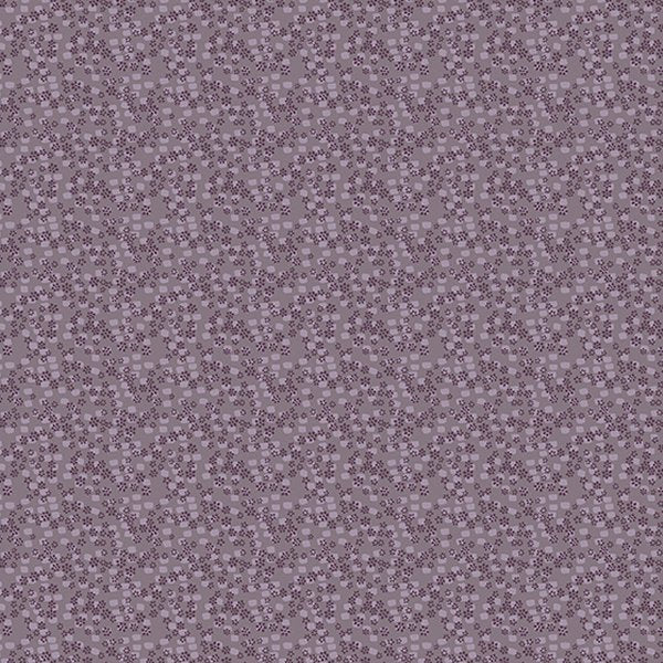 Windham - 53955-7 Aster