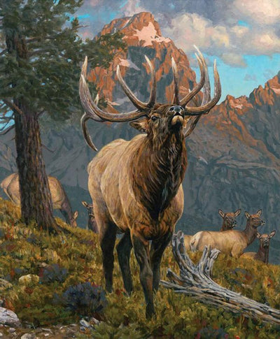Riley Blake - Grand Elk Panel