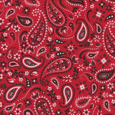 Timeless Treasures - C1213 Red Paisley