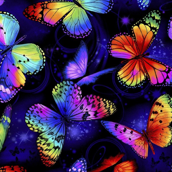 Timeless Treasures - CD1782 Butterflies
