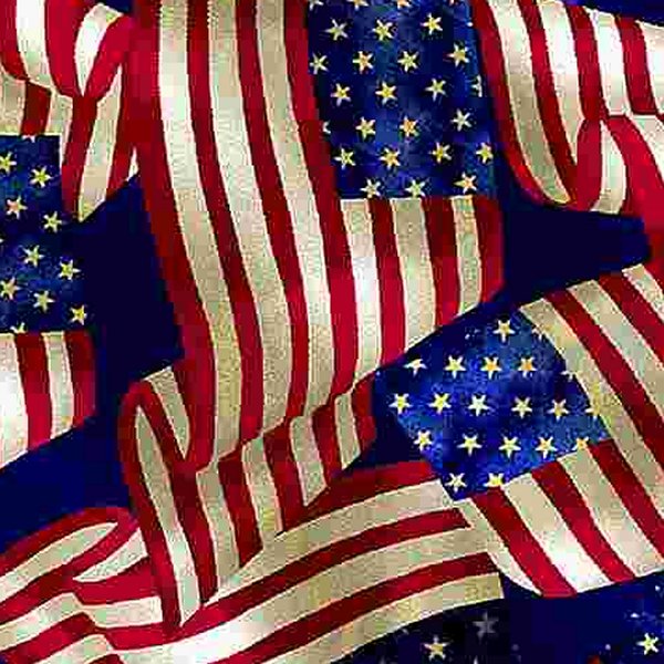 Timeless Treasures - C8321 Flags