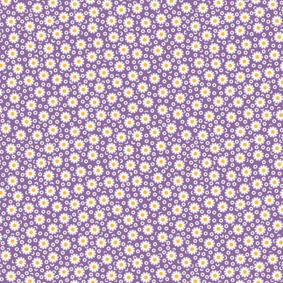 Maywood - MAS10784-V Purple
