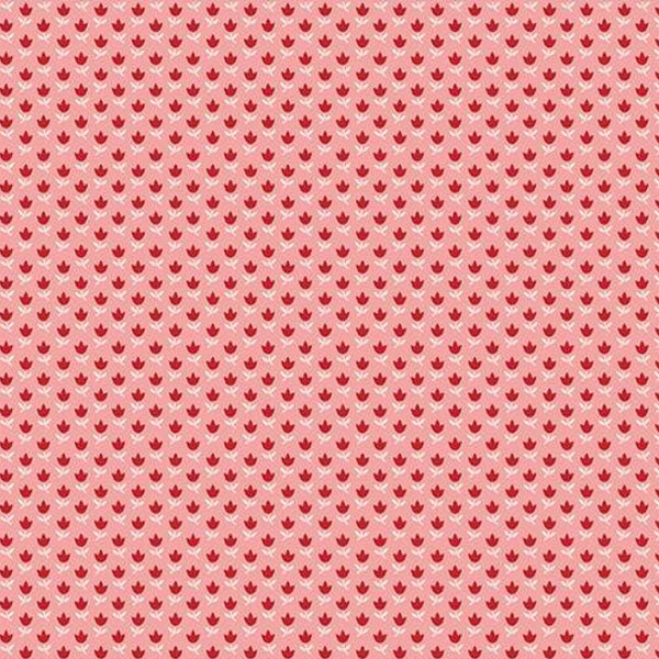 Riley Blake - C14387 Coral