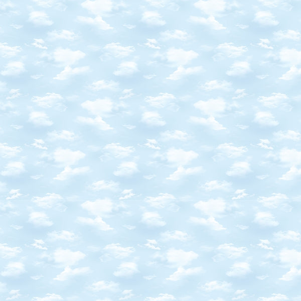 Clothworks - Y4136-97 Light Sky