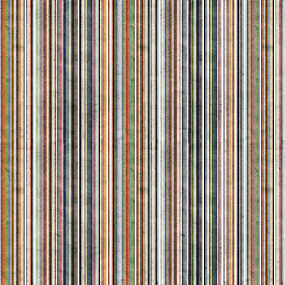 Clothworks - Y4608-55 Multi