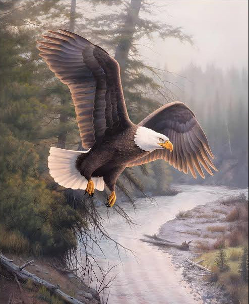 Riley Blake - PD17960 Eagle Patriot