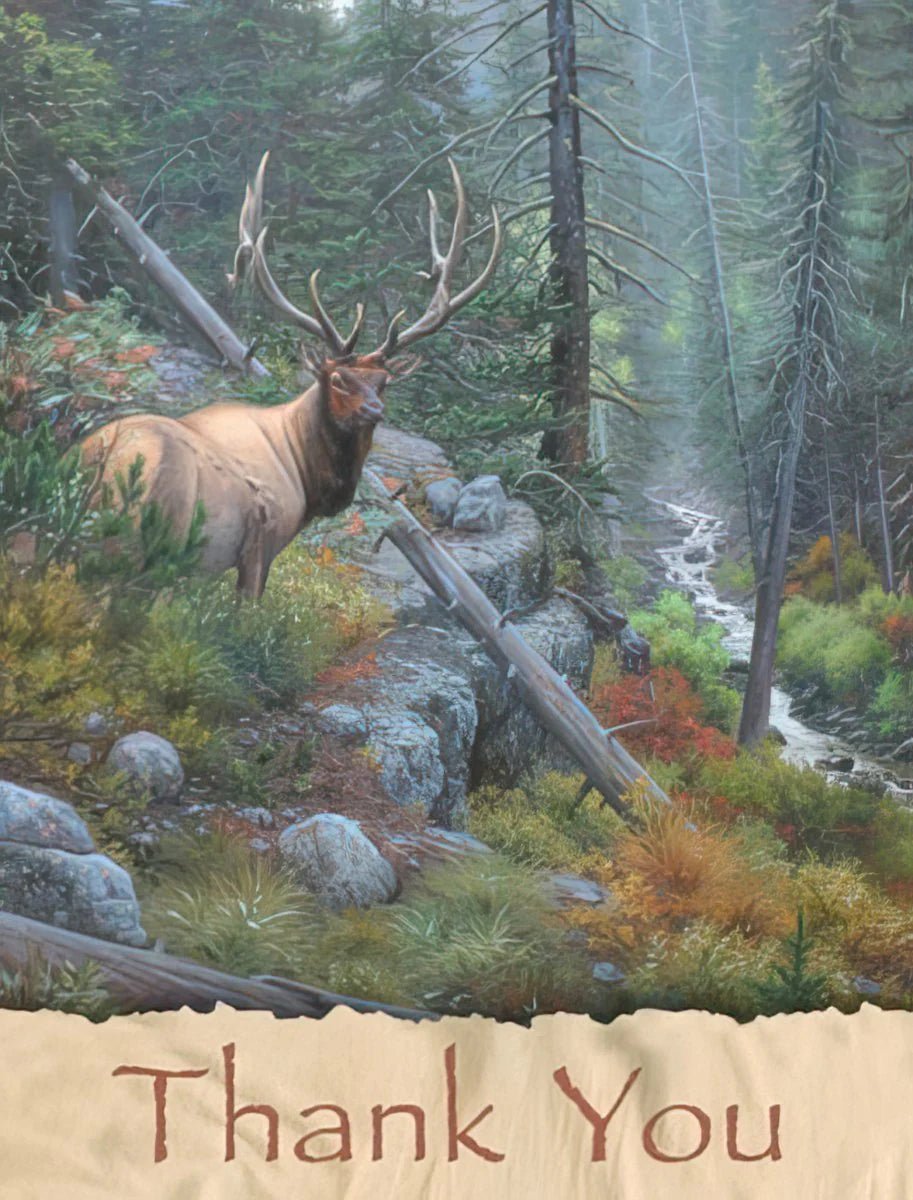 Elk in the Forest - Grandma&