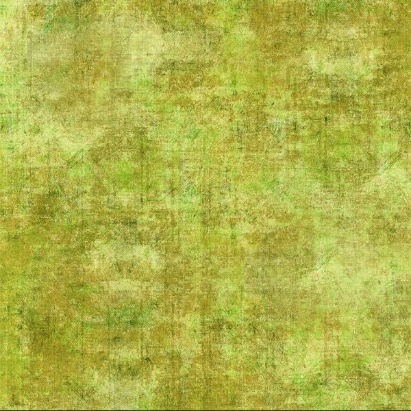 In the Beginning - 12HN-19 Lime - Grandma&