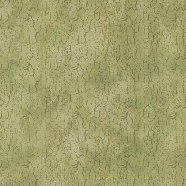 In the Beginning - 9CBR-2 Light Green - Grandma&