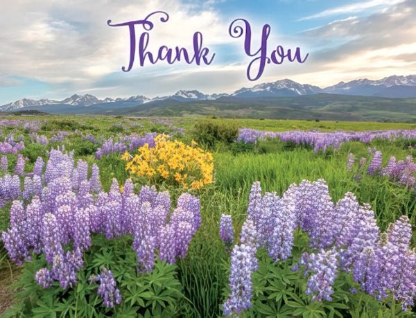 Lupine Field - Grandma&