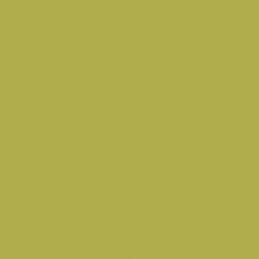 Riley Blake - C120 Asparagus - Grandma's Attic Quilting