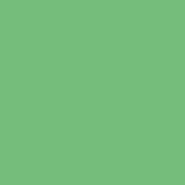 Riley Blake - C120 Grass - Grandma's Attic Quilting