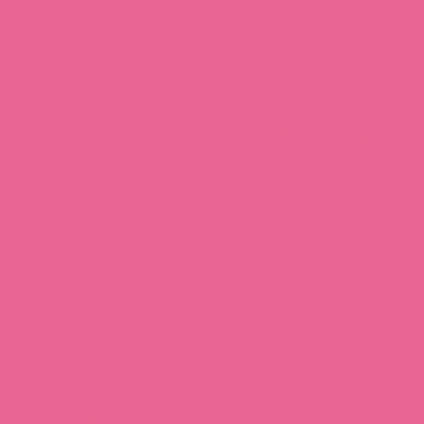 Riley Blake - C120 Hot Pink - Grandma's Attic Quilting