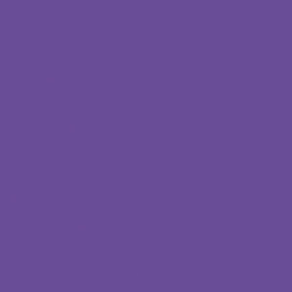 Riley Blake - C120 Iris - Grandma's Attic Quilting