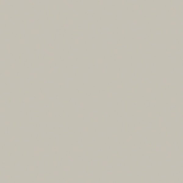 Riley Blake - C120 Light Gray - Grandma's Attic Quilting
