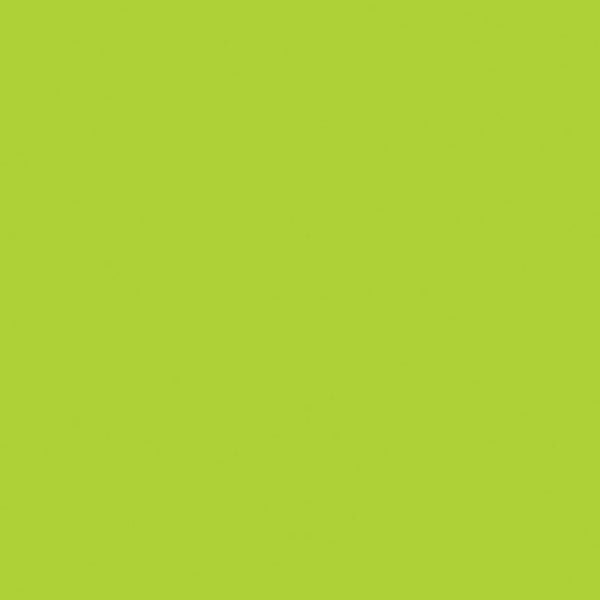 Riley Blake - C120 Lime - Grandma's Attic Quilting