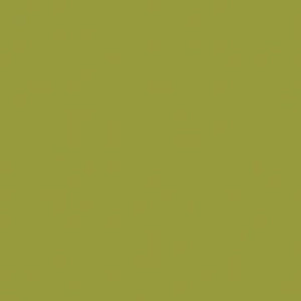 Riley Blake - C120 Moss - Grandma's Attic Quilting