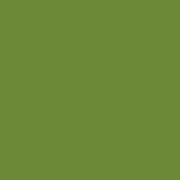 Riley Blake - C120 Olive - Grandma's Attic Quilting