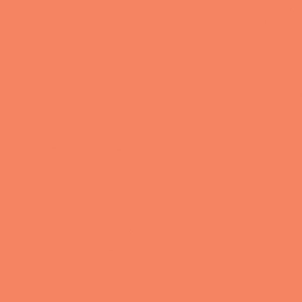 Riley Blake - C120 Papaya - Grandma's Attic Quilting
