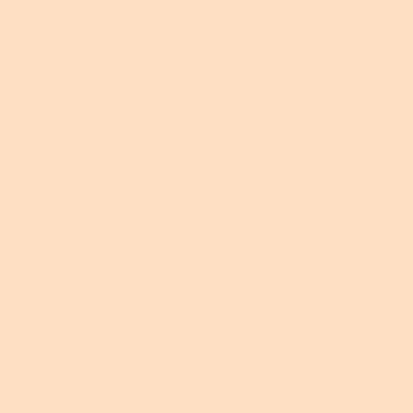 Riley Blake - C120 Shell - Grandma's Attic Quilting
