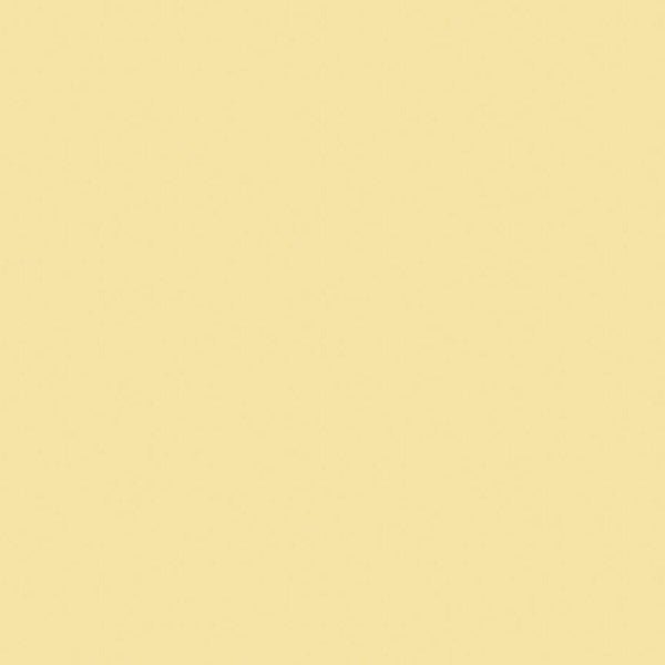 Riley Blake - C120 Sunshine - Grandma's Attic Quilting